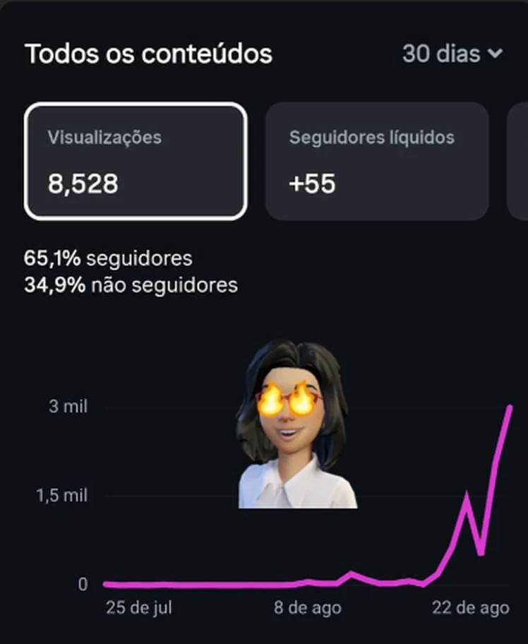 Painel do Instagram da participante: 8.528 visualizações e 55 seguidores novos em 30 dias